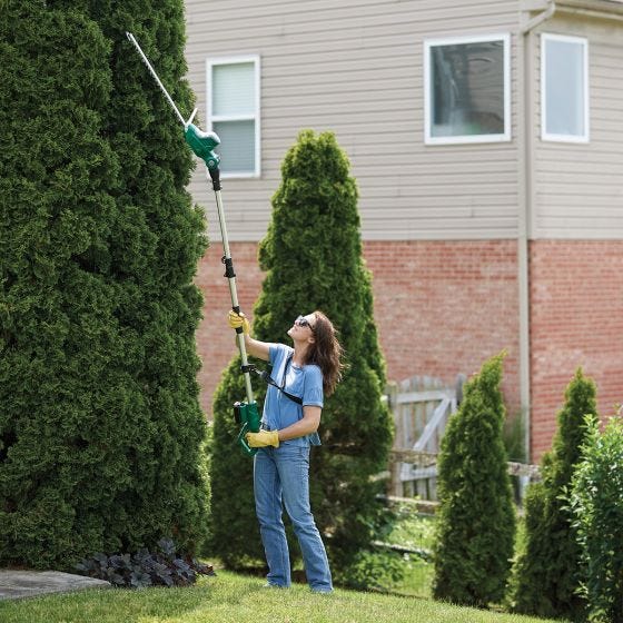 model using the trimmer on tall hedges 