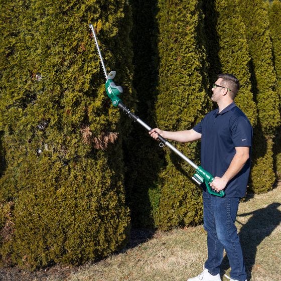 model using the trimmer on tall hedges 