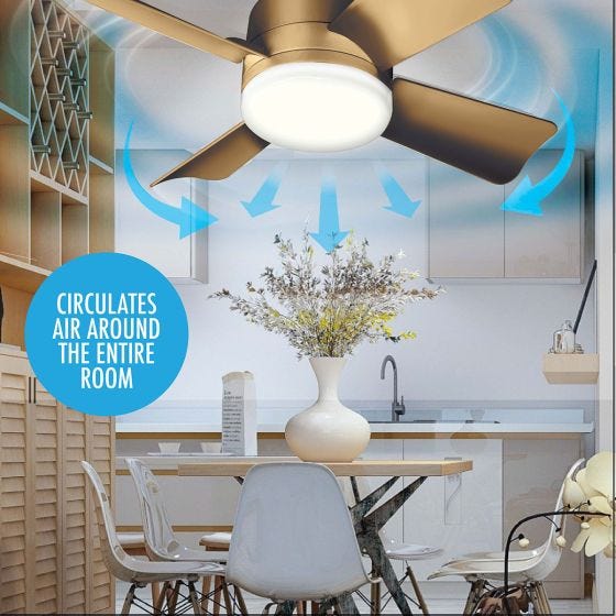 Socket Fan Light