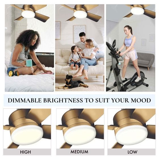 Socket Fan Light
