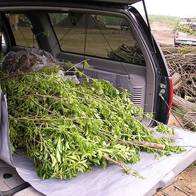 Heavy Duty Cargo Liner