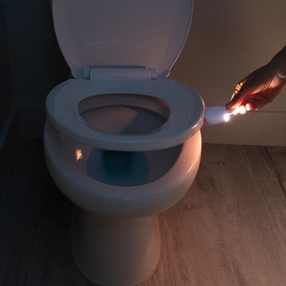 LumaLift Motion Sensing Light   