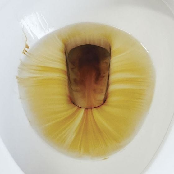 Mer-Maid Toilet Bowl Cleaner