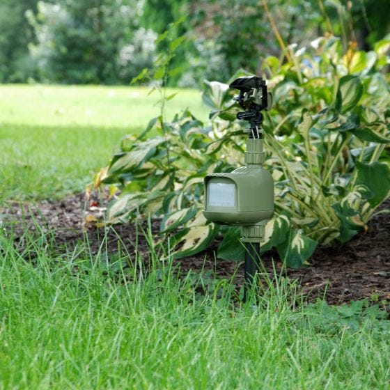 Motion Activated Animal Deterrent & Sprinkler