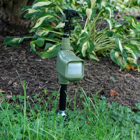 Motion Activated Animal Deterrent & Sprinkler Motion Activated Animal Deterrent & Sprinkler