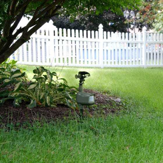 Motion Activated Animal Deterrent & Sprinkler