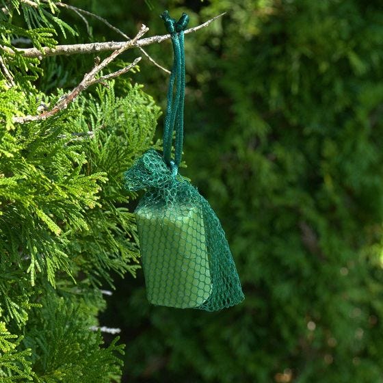 deer repellent hanging from branch 