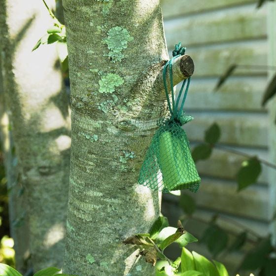 deer repellent hanging from tree