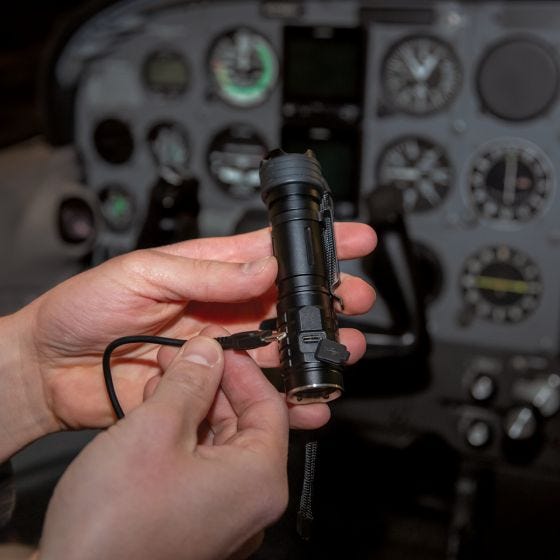 Flight Gear bite in a cessna 172