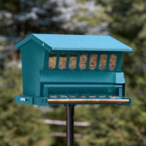 Squirrel-Proof Bird Feeder