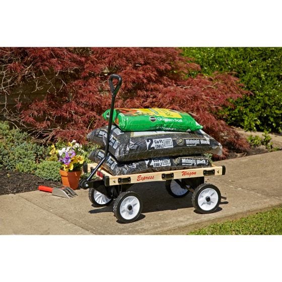  Convertible Sleigh Wagon