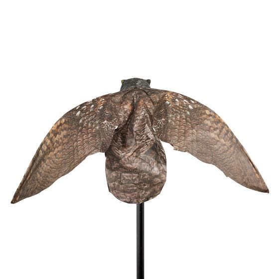 prowler owl backview on optional pole on white