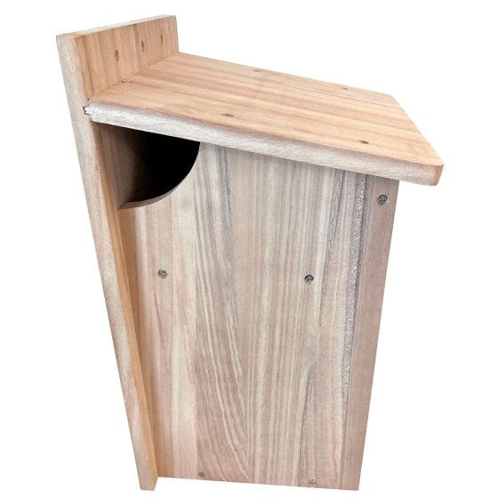 Squirrel Haven	