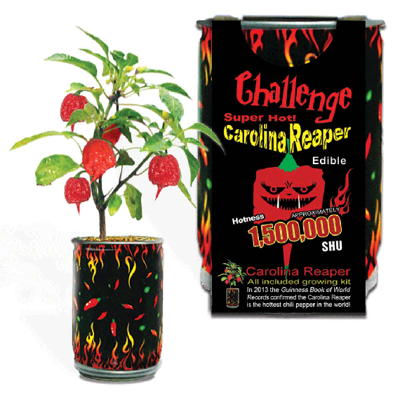 All Three World's Hottest Peppers Growing Kit 