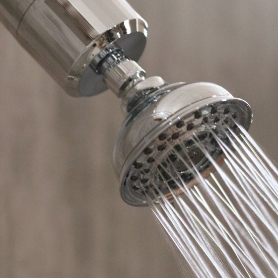 EverGlow Shower Filter   