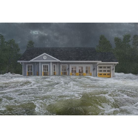 Flex Seal Flood Protection Starter Kit