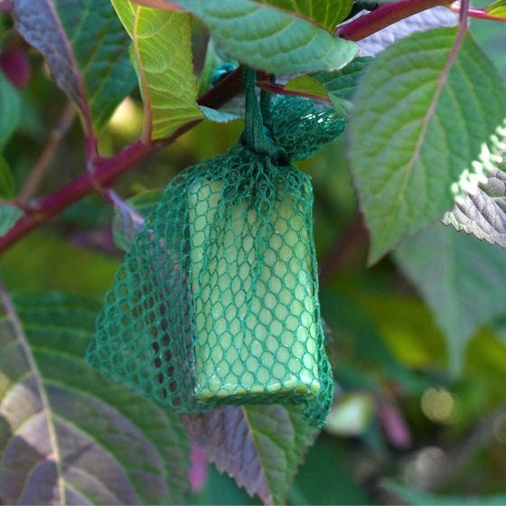 deer repellent hanging from branch up close 