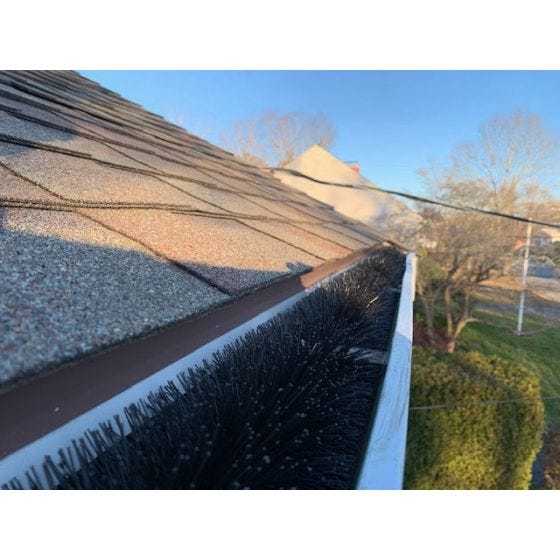  GutterBrush Leaf Guard 