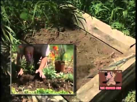 Garden and Yard Auger