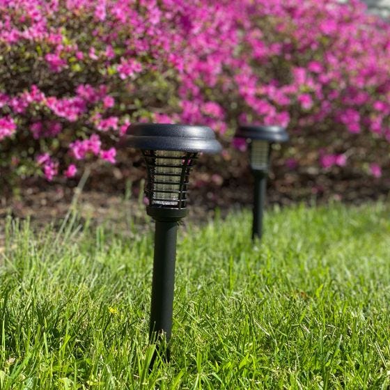 Solar Bug Zapping Lights (Set of 2) 