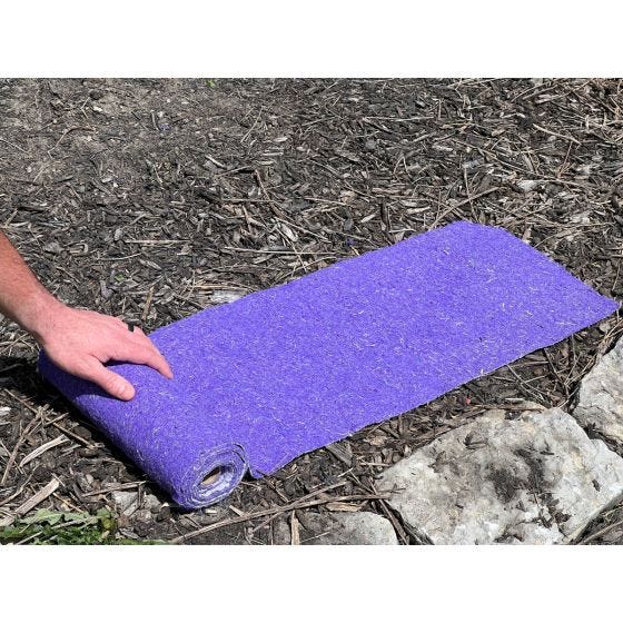 Wild Flower Seed Blanket (20,000 Seeds) 