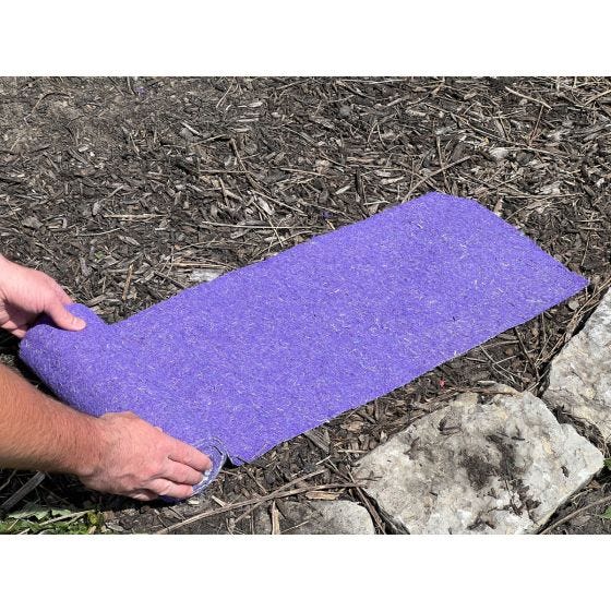 Wild Flower Seed Blanket (20,000 Seeds) 
