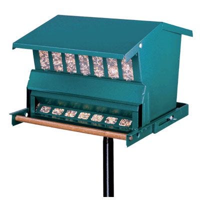 Squirrel-Proof Bird Feeder