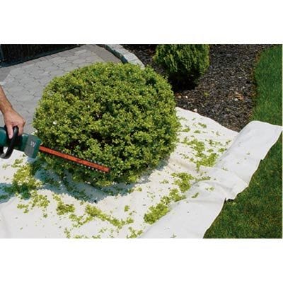 Pruning Drop Cloth