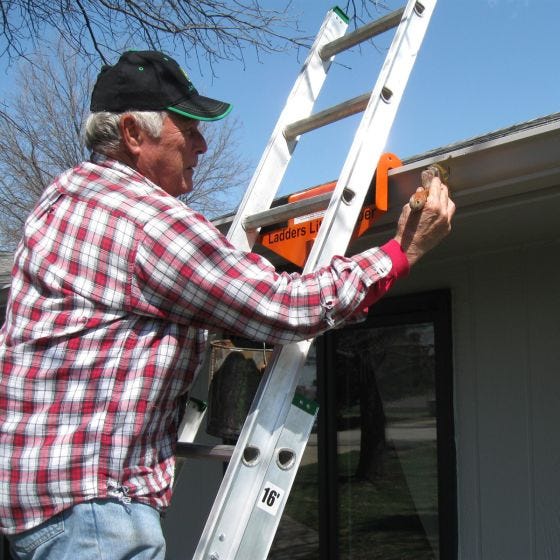 Ladder Stabilizer
