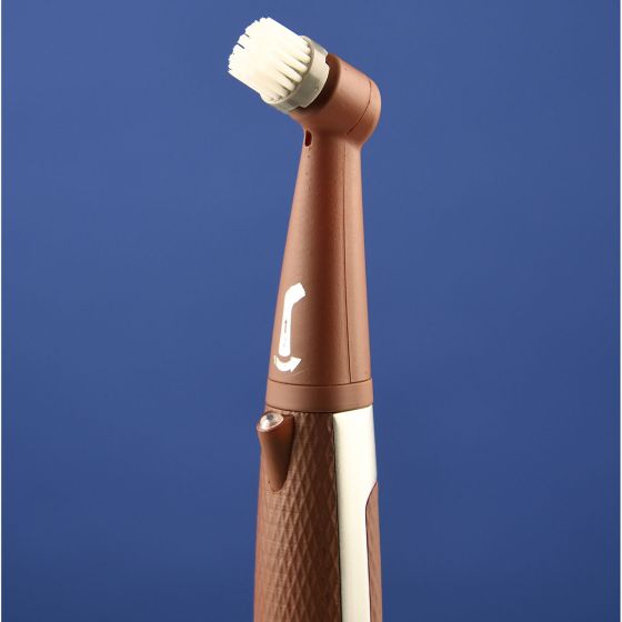 brush head 