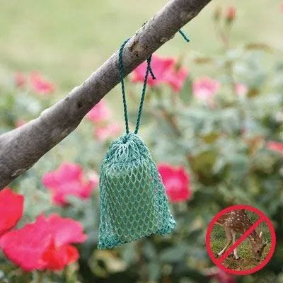 deer repellent hanging from tree branch 