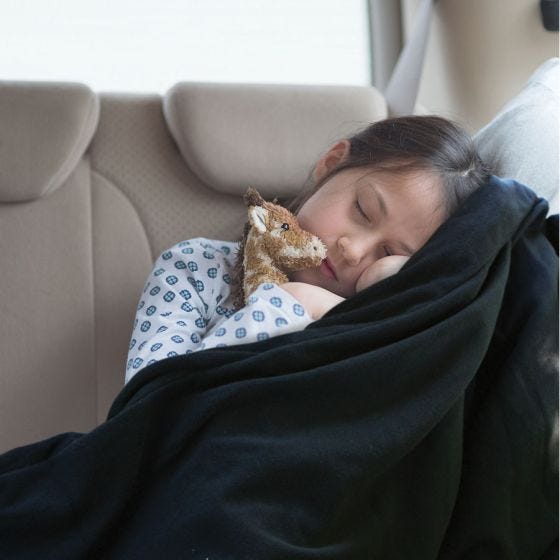12v Heated Blanket