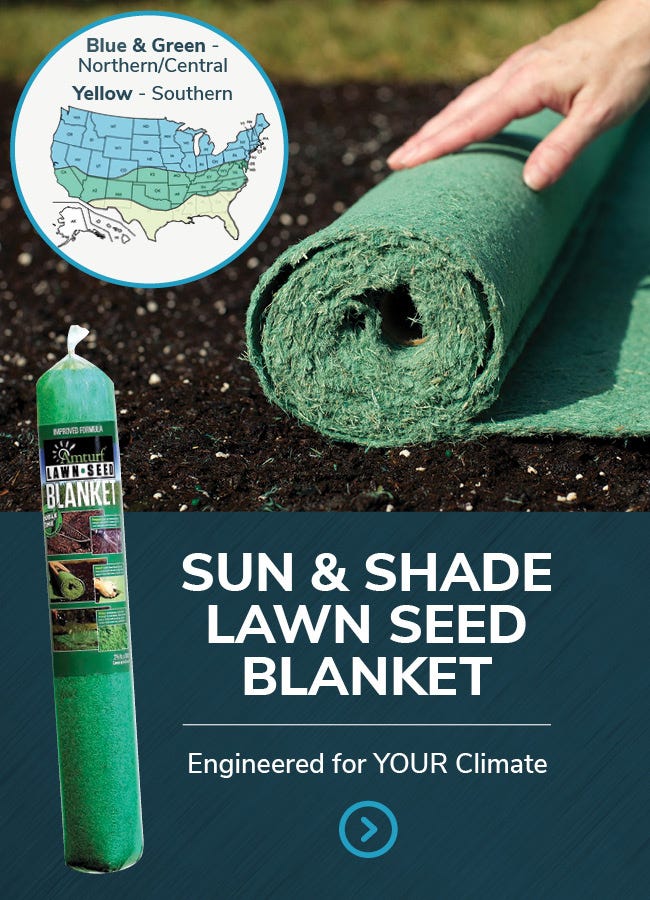 Green Sun & Shade Lawn Seed Blanket being rolled out in dirt