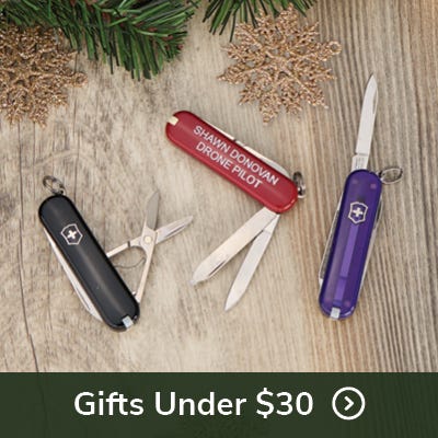 Gifts under $30