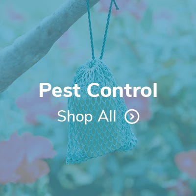 Pest Control