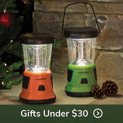 Gifts under $30
